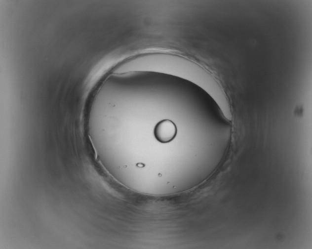 X0000112530296200909071405