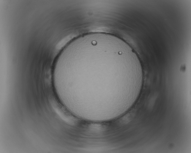 X0000112530298200909071405