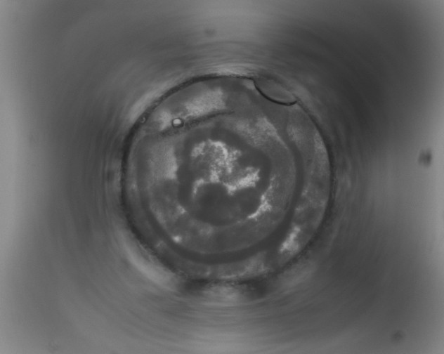 X0000112530299200909071405