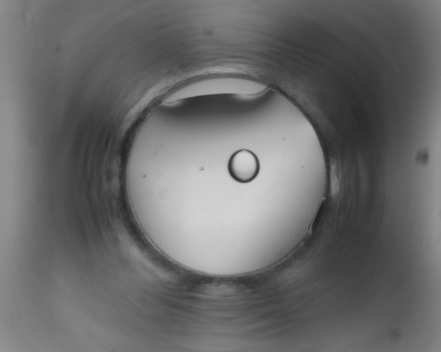 X0000112530300200909071405