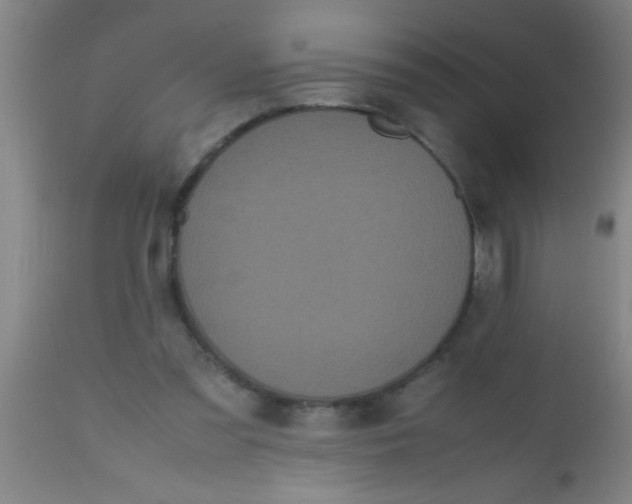 X0000112530301200909071405