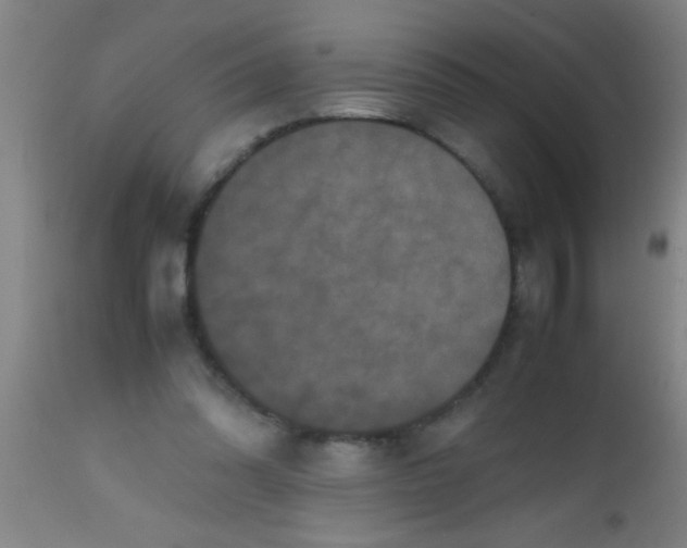 X0000112530302200909071405