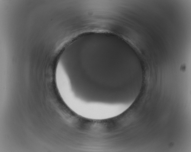 X0000112530303200909071404