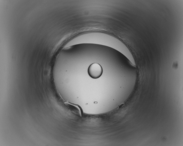 X0000112530304200909071404