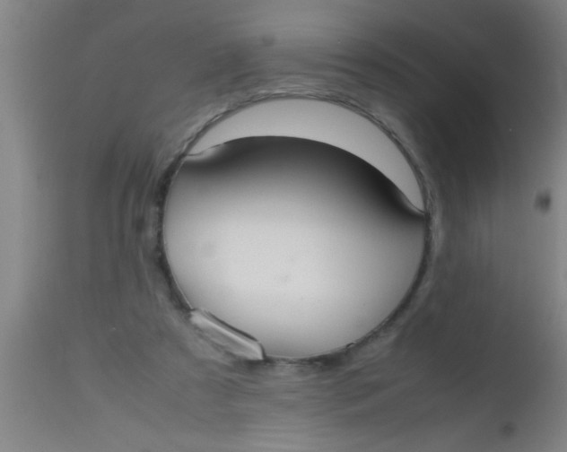 X0000112530305200909071404