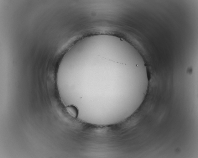 X0000112530306200909071404