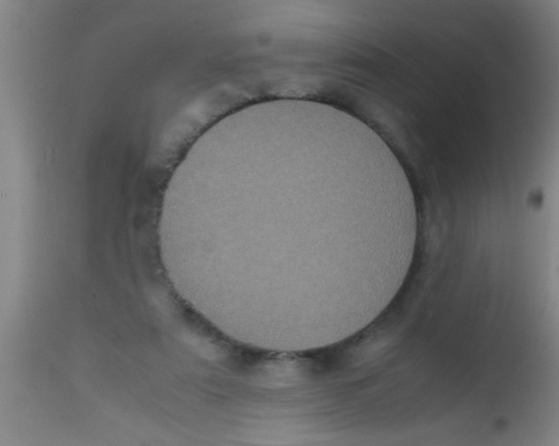 X0000112530307200909071404