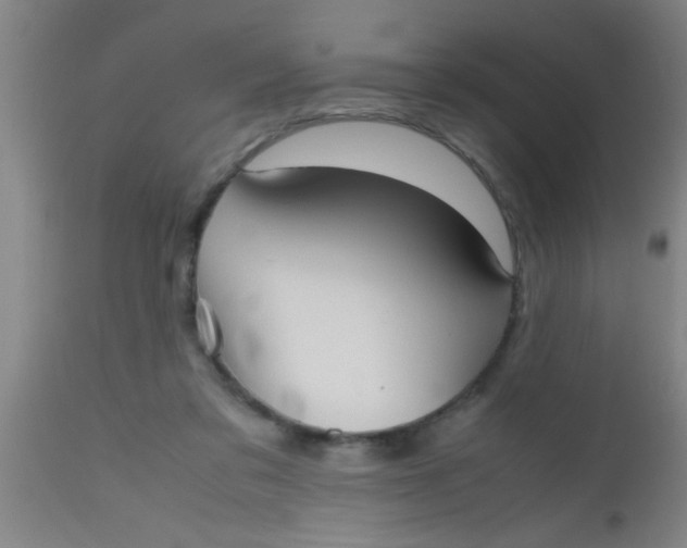 X0000112530309200909071404