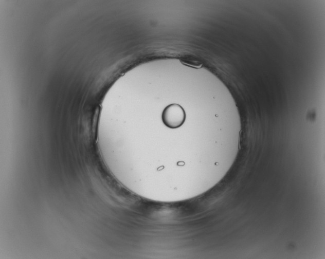 X0000112530312200909071404