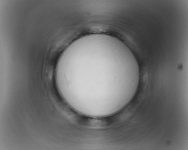 X0000112530315200909071404