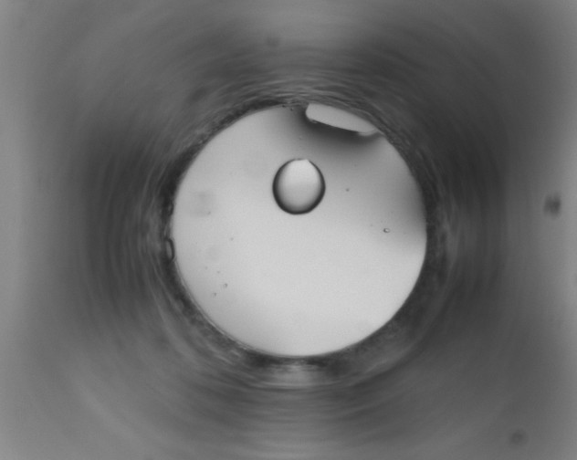 X0000112530316200909071404