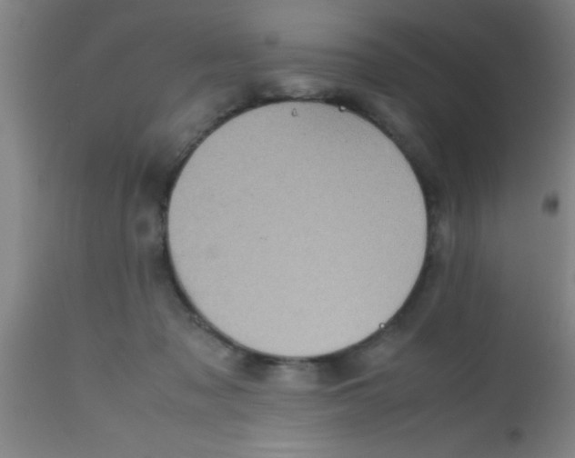 X0000112530317200909071404