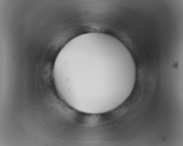 X0000112530318200909071404