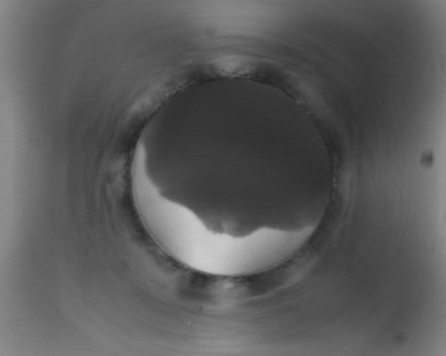 X0000112530319200909071404