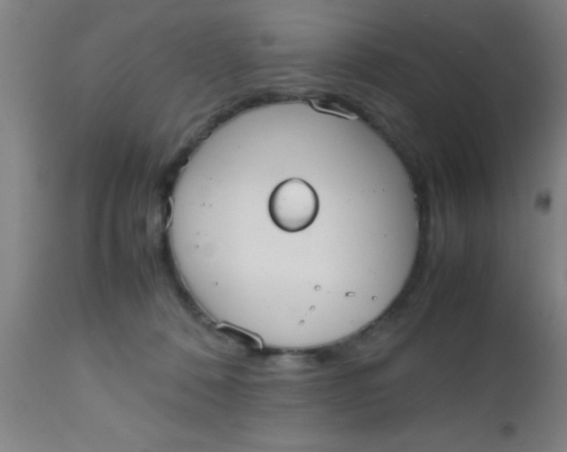 X0000112530320200909071404