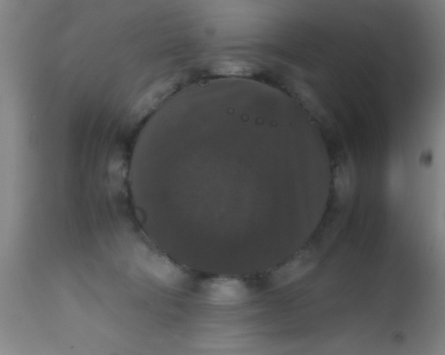 X0000112530322200909071404