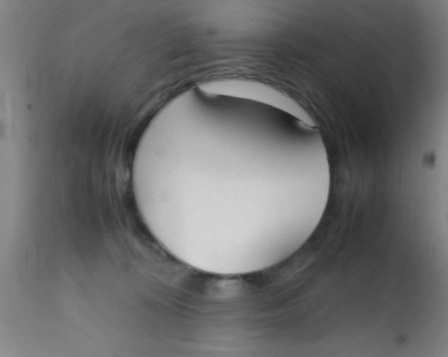 X0000112530324200909071404