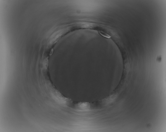 X0000112530325200909071404