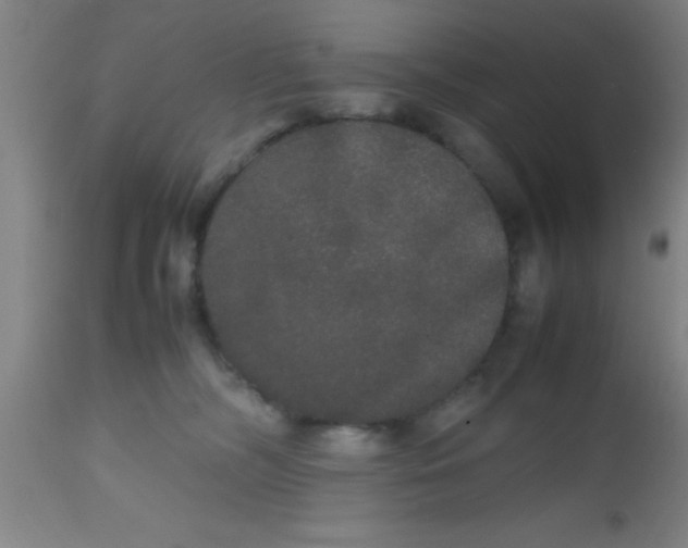 X0000112530326200909071404