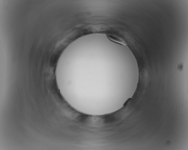 X0000112530327200909071404