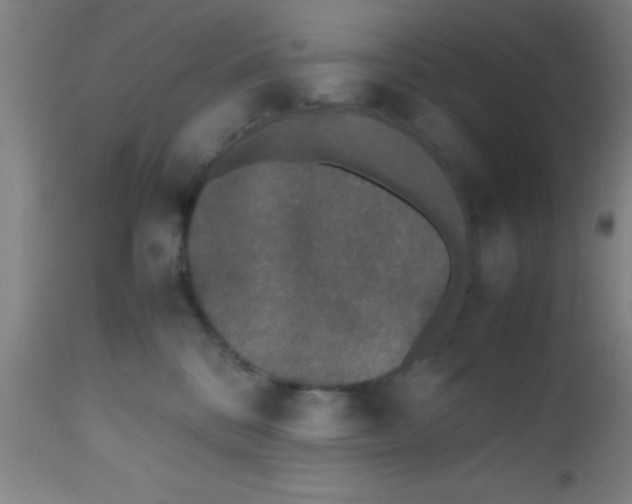 X0000112530328200909071404