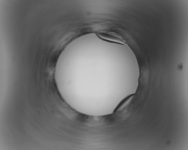 X0000112530329200909071404