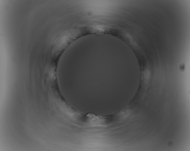 X0000112530331200909071404