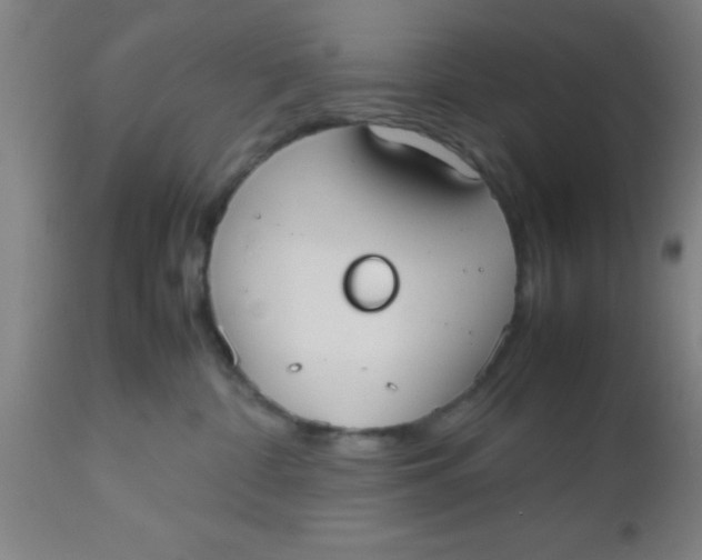 X0000112530332200909071404