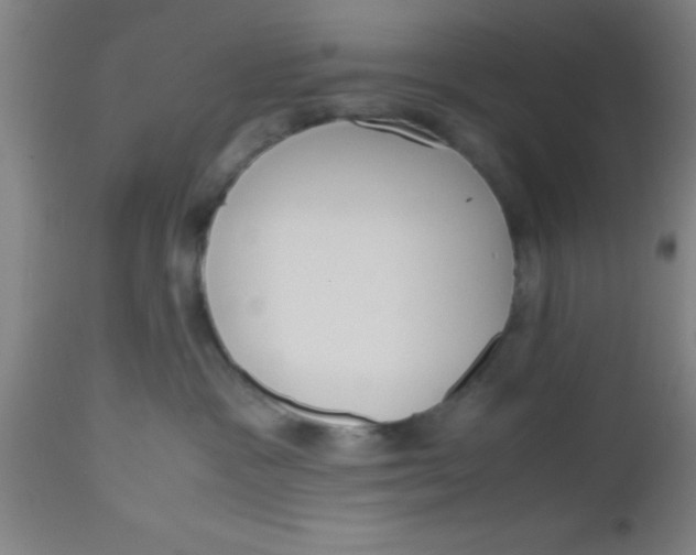 X0000112530333200909071404