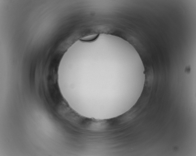 X0000112530334200909071404