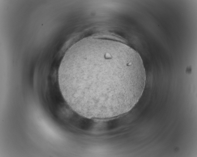 X0000112530335200909071404