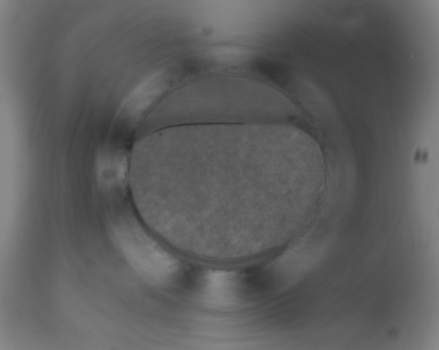 X0000112530336200909071404