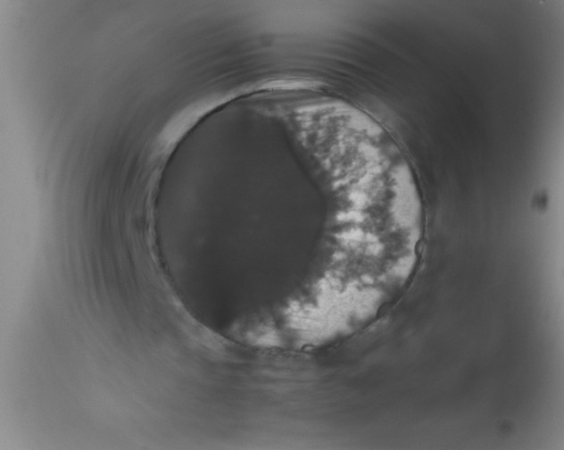 X0000112530337200909071403