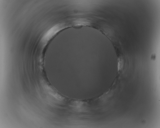 X0000112530339200909071403