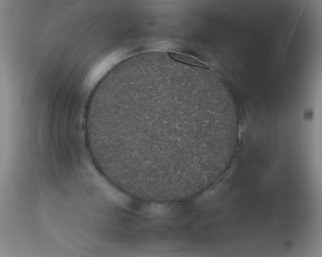 X0000112530341200909071403