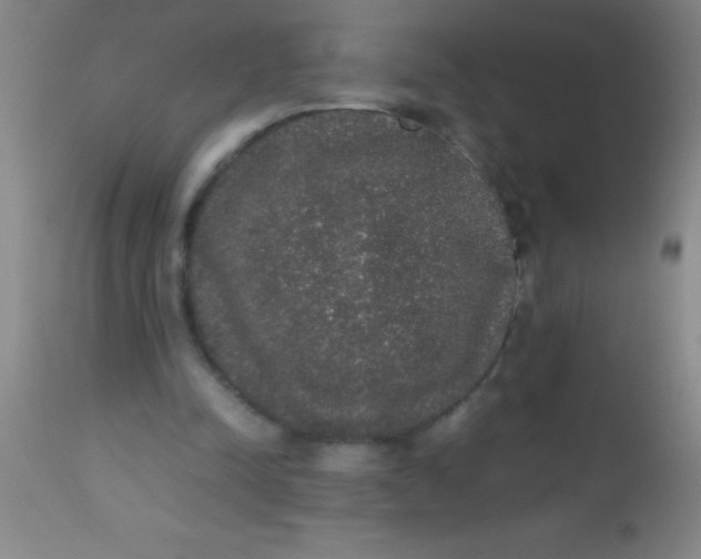 X0000112530342200909071403