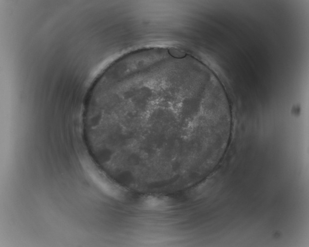 X0000112530346200909071403