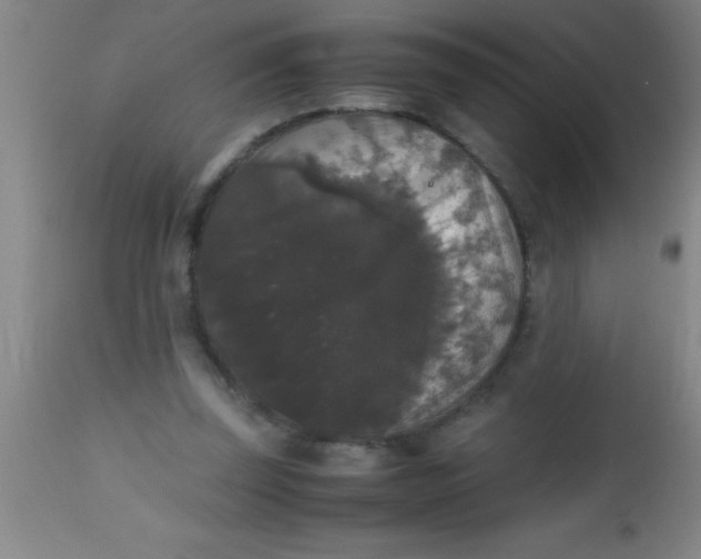 X0000112530347200909071403