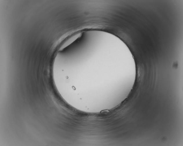 X0000112530348200909071403