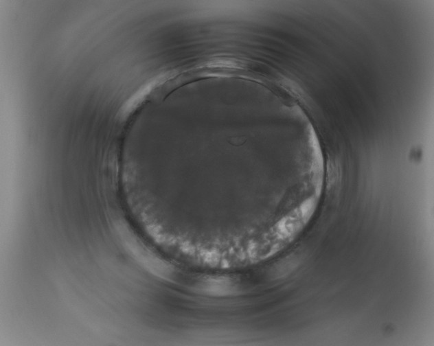 X0000112530349200909071403