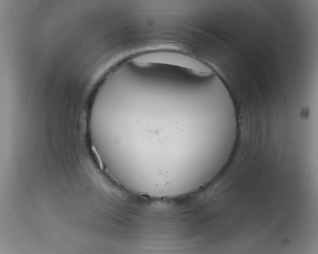 X0000112530350200909071403