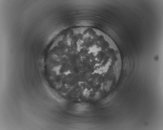 X0000112530351200909071403