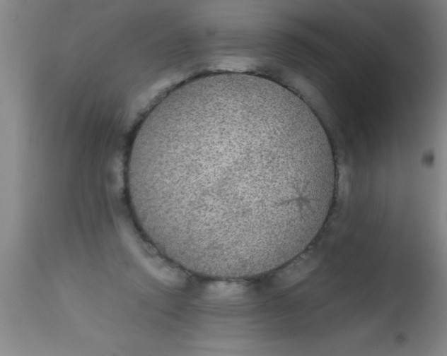 X0000112530354200909071403