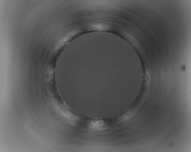 X0000112530355200909071403