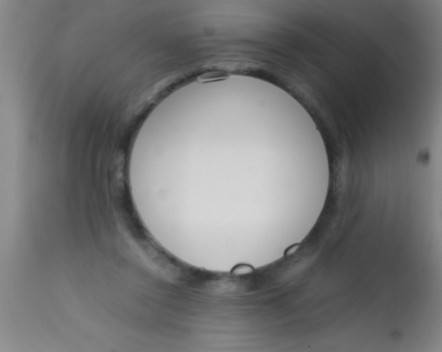 X0000112530356200909071403