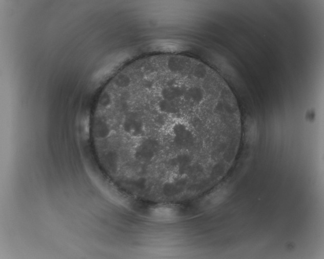 X0000112530358200909071403