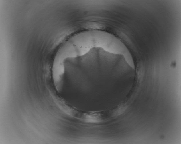 X0000112530359200909071403