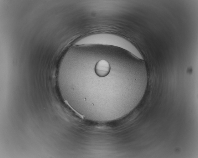 X0000112530360200909071403