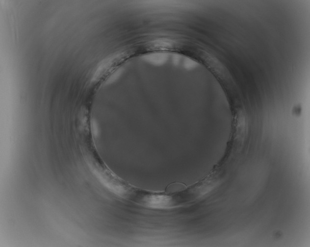 X0000112530361200909071403