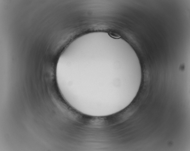 X0000112530362200909071403